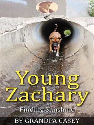 cover image of Young Zachary Finding Sunshine
